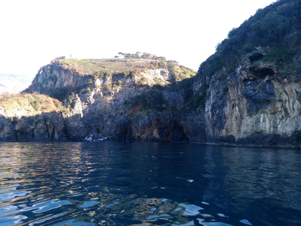 Aria Di Mare B&B Family San Nicola Arcella Exteriör bild